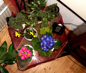 Gartenarbeit Ideen January 2010