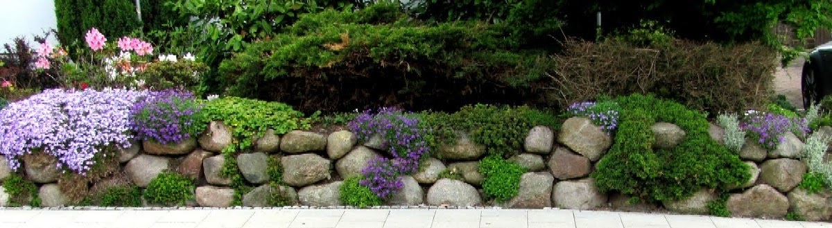 Garten Anders Findlinge Fur Eine Steinmauer Natursteinmauer Und Steingarten Kombiniert