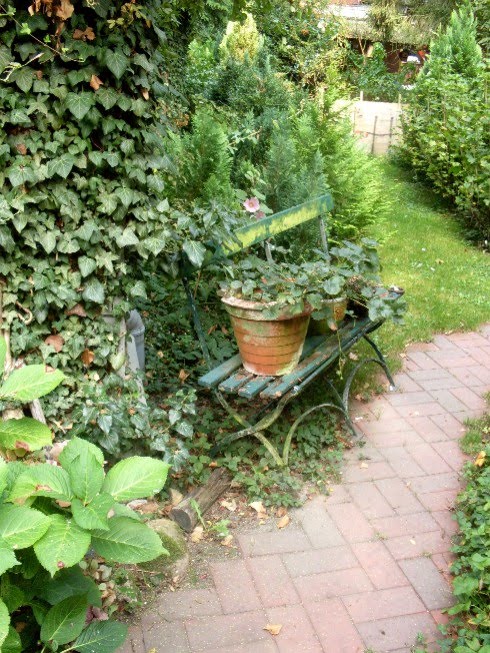 Garten Anders November 2009