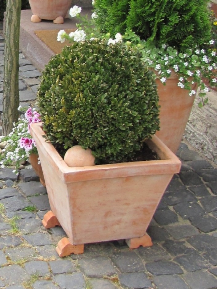 Garten Anders Tonfusse Als Designelement Und Als Frostschutz