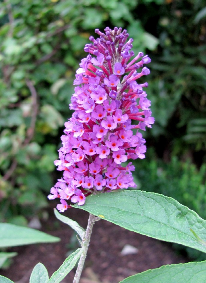 Healthy Lunch Bag Blickwinkel Bloglovin