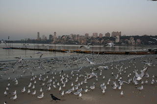 Beaches of Mumbai