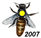 Bee year color identifier