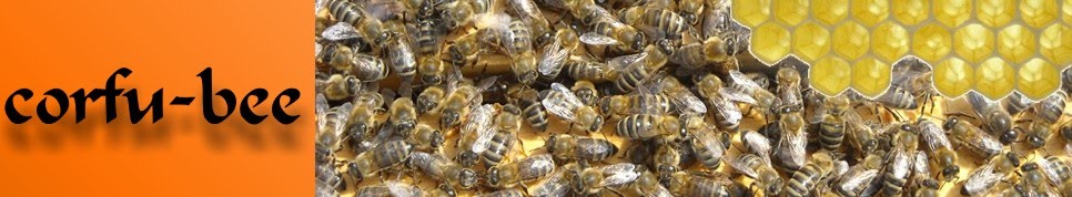 Corfu bee