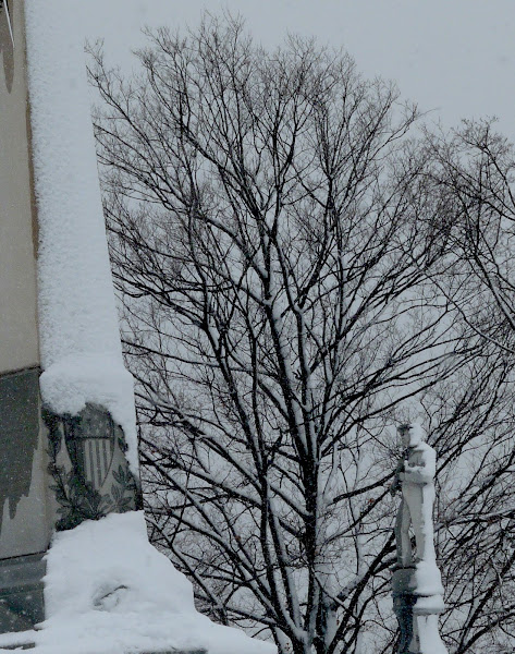 Stone Sentinels