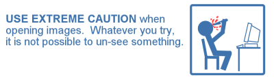 Internet Safety Tips