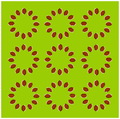 no motion eye illusion