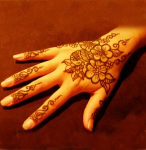 indian dulhan 2010 mehndi patterns