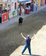 bullfight in the streets