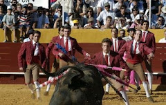 Portuguese style bull fight