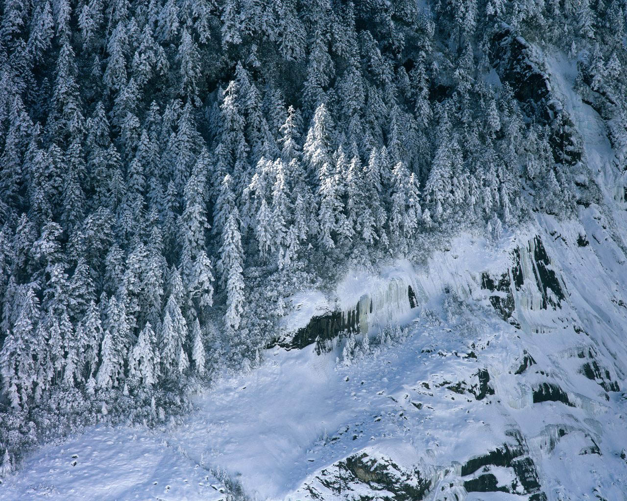 Poze Iarna la Munte: Poze Iarna la Munte Zapada Omat Ninsoare Peste ...