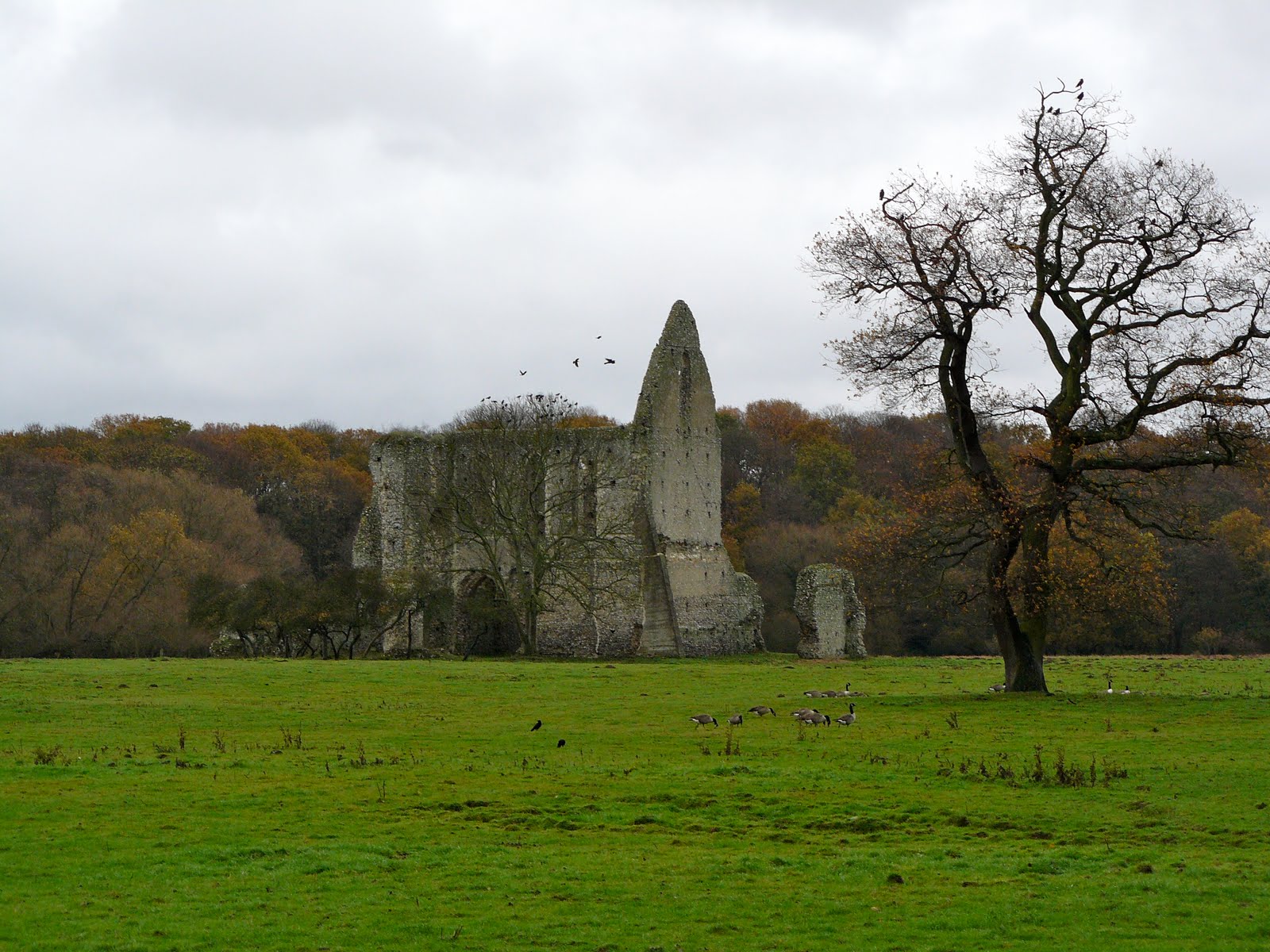 Walking in the country Pyrford
