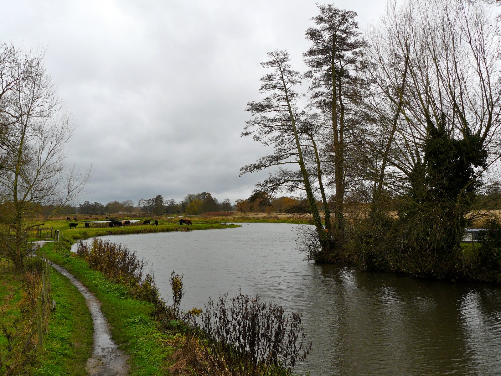 Walking in the country Pyrford