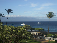Spectacular Maui