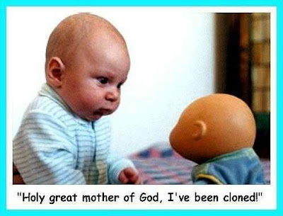 cute baby joke