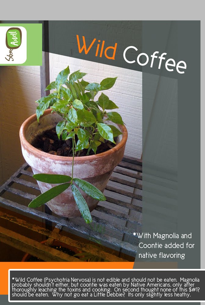 The Rainforest Garden Wild Coffee, Sea Beans, and How to Grow a Beanstalk!