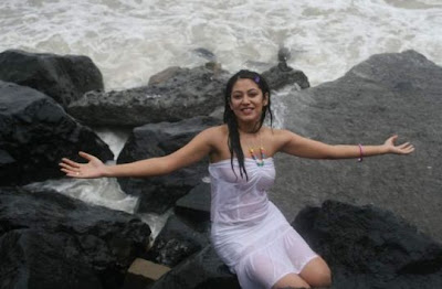 Anjali Pandey hot in transparent dress