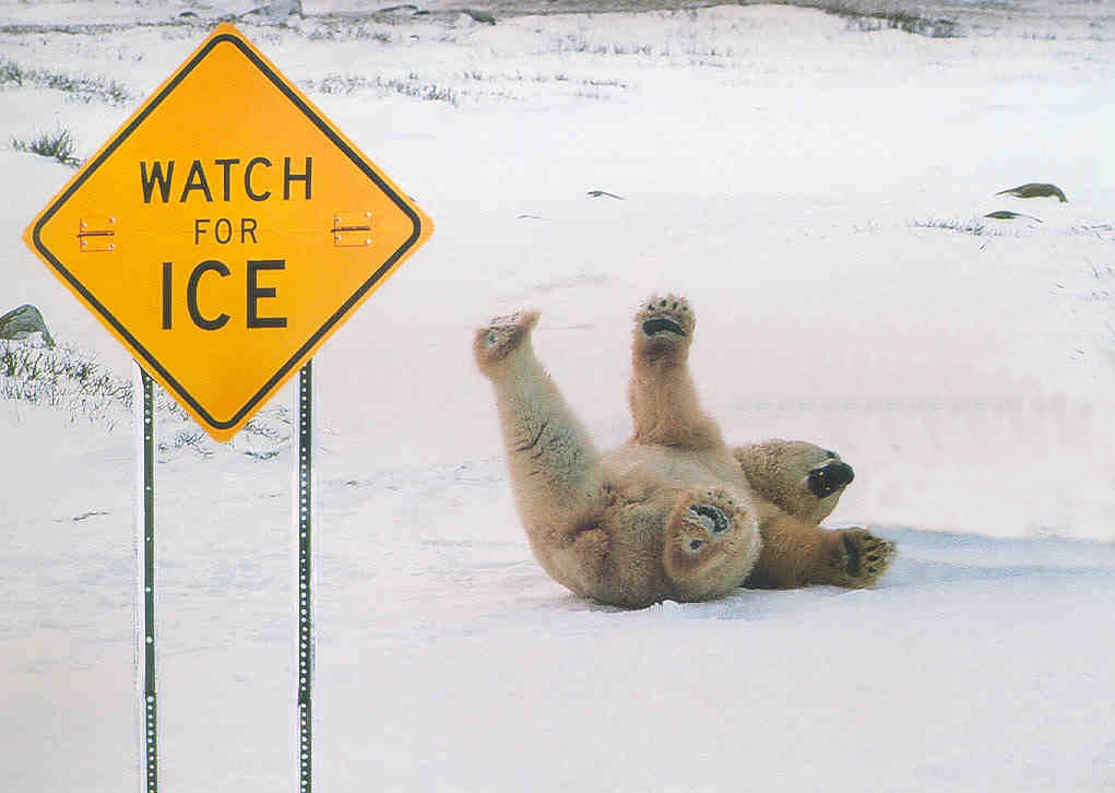 People+slipping+on+ice