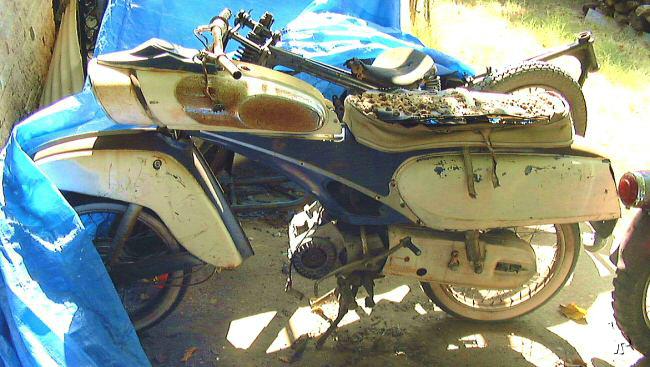 Jangkrik Bali Motor