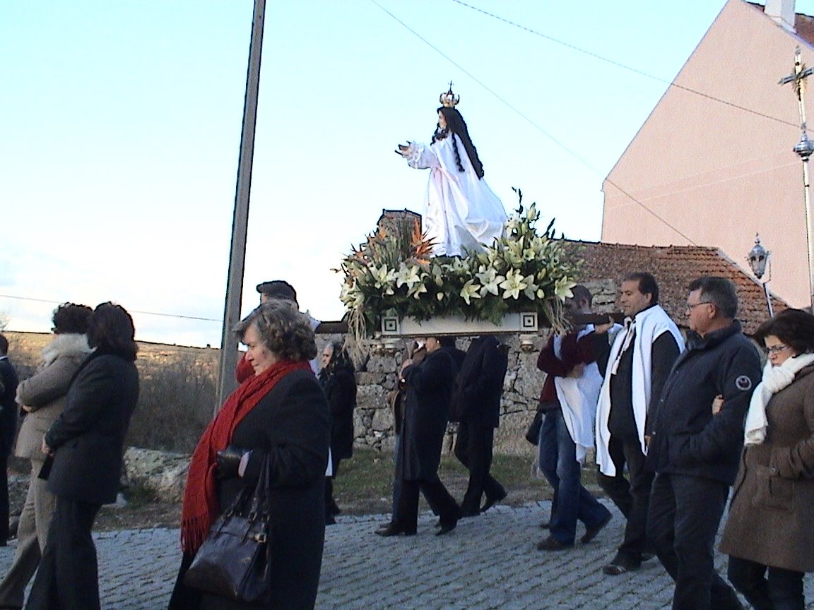 [DSC00916.JPG]