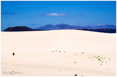 Dune e mare