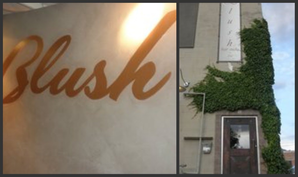 I Heart Salt Lake Blush Hair Studio and Spa Giveaway