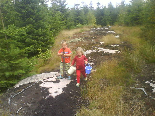 [DSC00058-742000.JPG]
