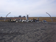 Whale bones