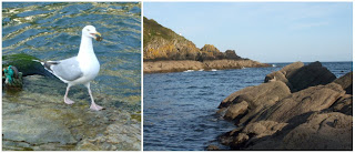 Polperro