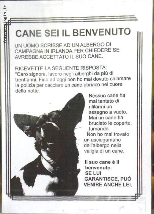 Cane, sei il benvenuto! BENVENUTO__CANE!