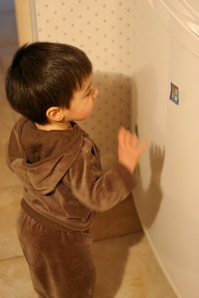 [IMG_4944__.JPG]