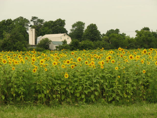 [IMG_0821.JPG]