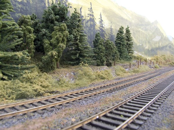 [CRW_7075.jpg]