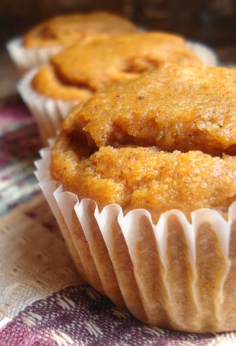 [pumkin+muffins+2.jpg]