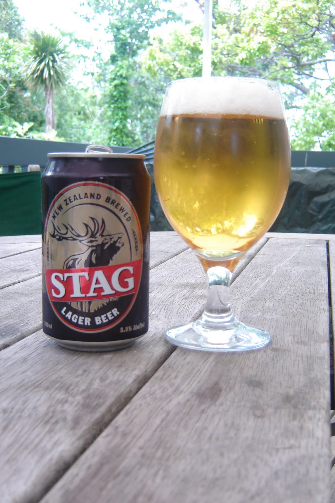 The Beerorama 2 Stag Lager Beer