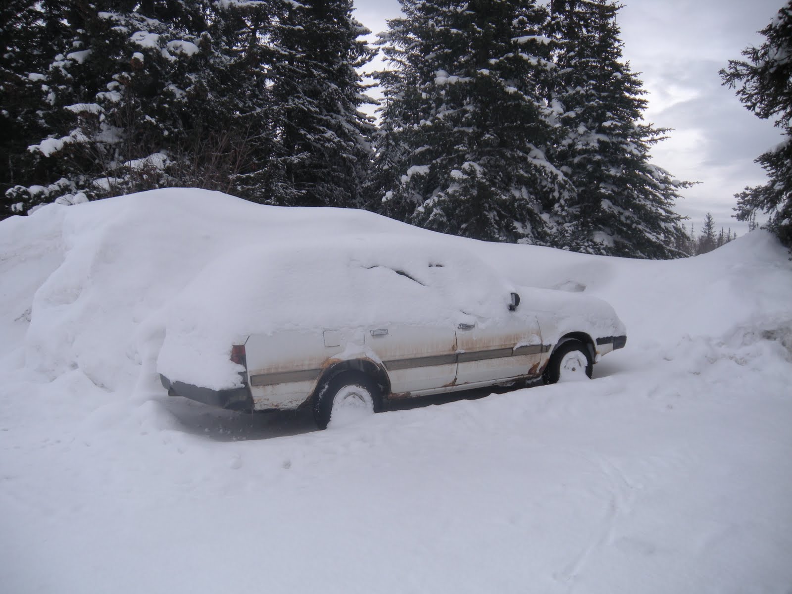 Life in Alaska — A View From Homer Winter Scenes