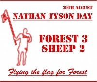 Forest 3 Sheep 2