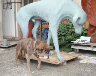 México será el décimo país en contar con un monumento al perro callejero. El próximo domingo en la avenida Insurgentes Sur se develará una estatua diseñada por la escultora Girasol Botello, en homenaje a los más de 3 millones de canes sin dueño en la capital