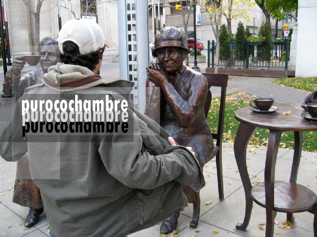Purocochambre