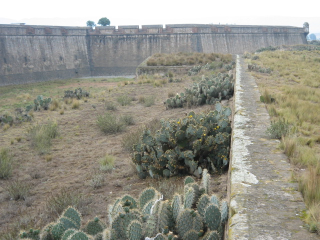 Defensas exteriores