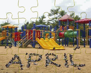 [Pigeons_Personalized_Puzzle_LG.jpg]