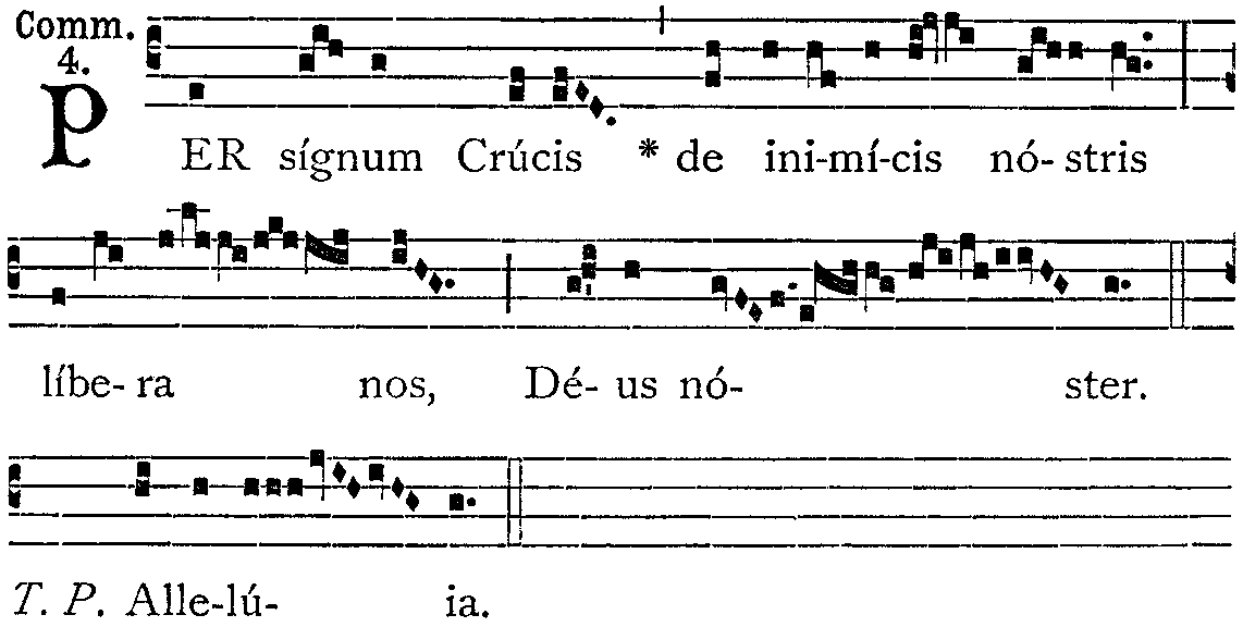 [co_per_signum_crucis.gif]