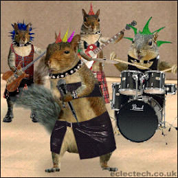 Squirrels Rock