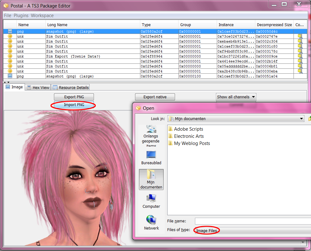 How to change pictures in CAS / Sim Bin - Tutorial 07+Import-PNG