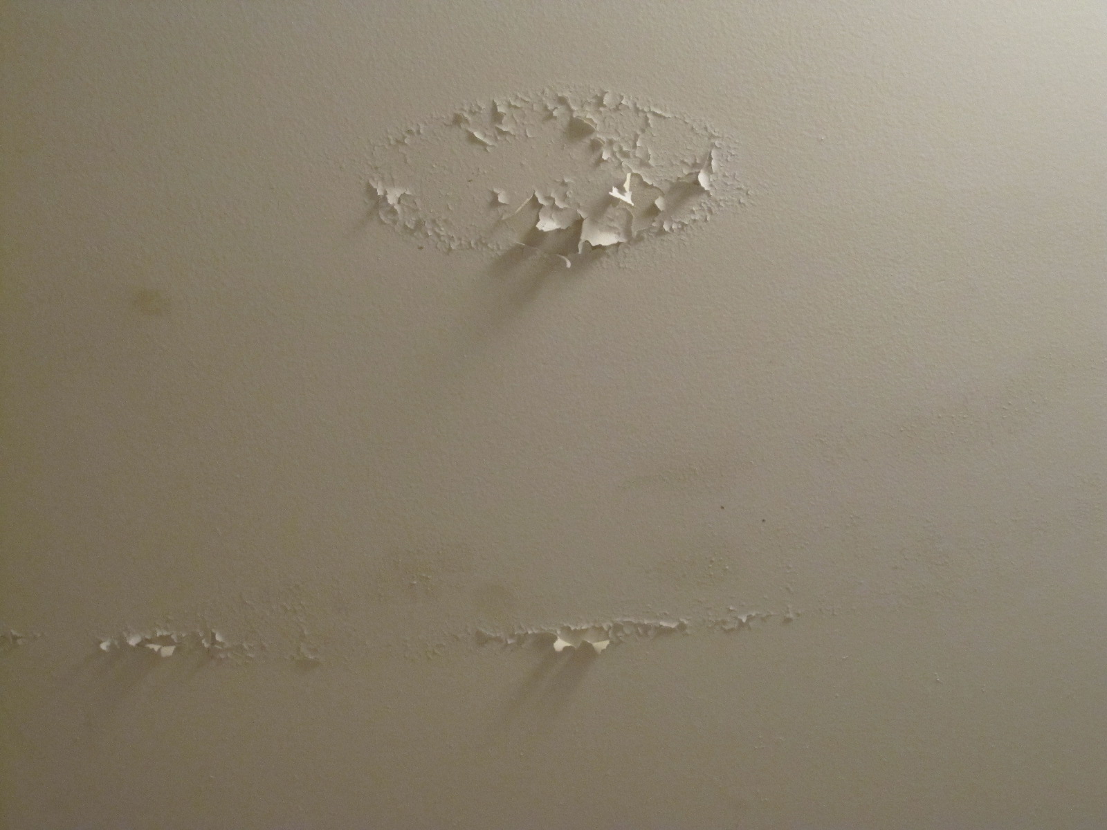 Ceiling Repair Ceiling Repair Paint Peeling
