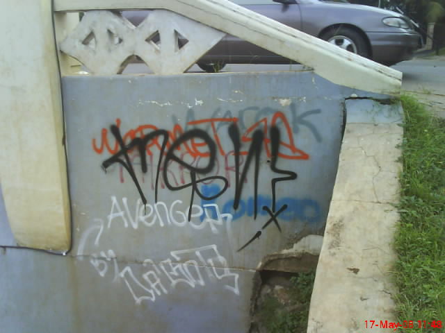 [DSC00489.JPG]