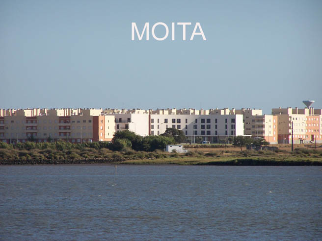 [moita.jpg]