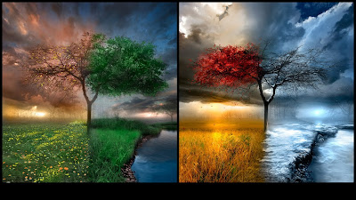 Seasons Change Desktop Wallpaper, Gallery, 3D-Art, Seasons Change