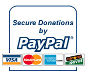 Paypal donation button