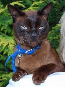 [Resize+of+DSC_0034a.jpg]